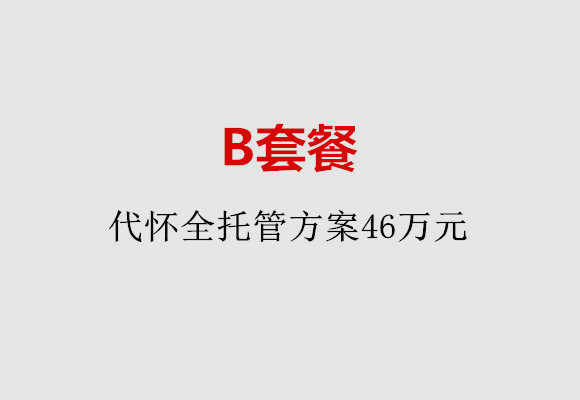 昆明B套餐：代怀全托管方案46万元